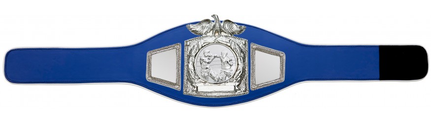 PROEAGLE BOXING CHAMPIONSHIP BELT - PROEAGLE/S/BOXS - AVAILABLE IN 6+ COLOURS